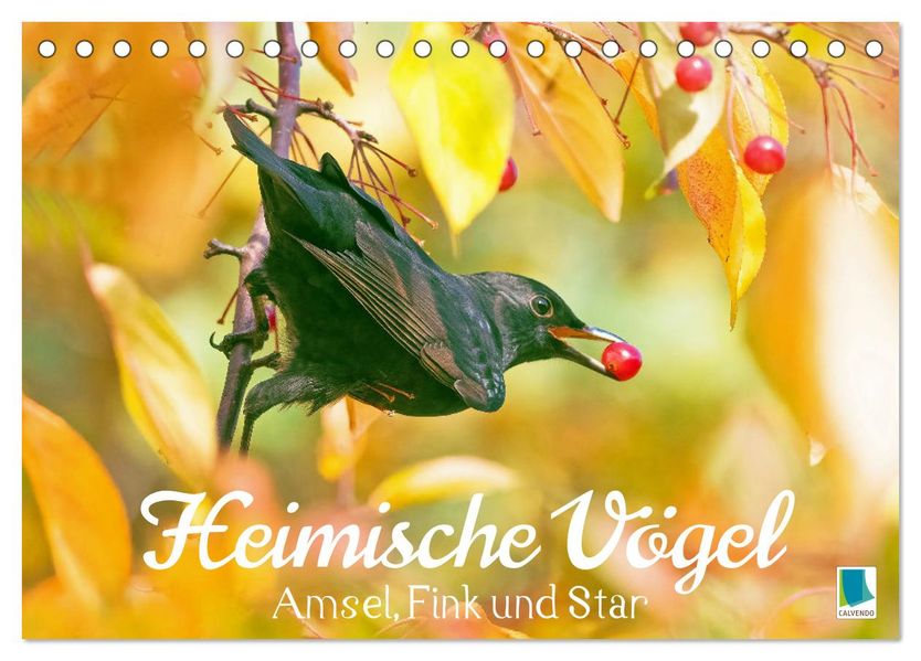 Amsel Fink und Star: Heimische Vögel (Tischkalender 2027 DIN A5 quer) CALVENDO Monatskalender