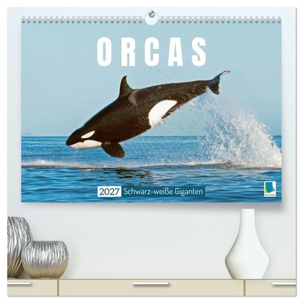 Orcas: Schwarz-weiße Giganten (hochwertiger Premium Wandkalender 2027 DIN A2 quer) Kunstdruck in Hochglanz