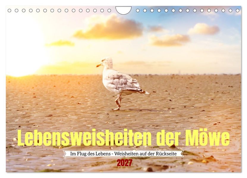 Lebensweisheiten der Möwe - Im Flug des Lebens (Wandkalender 2027 DIN A4 quer) CALVENDO Monatskalender