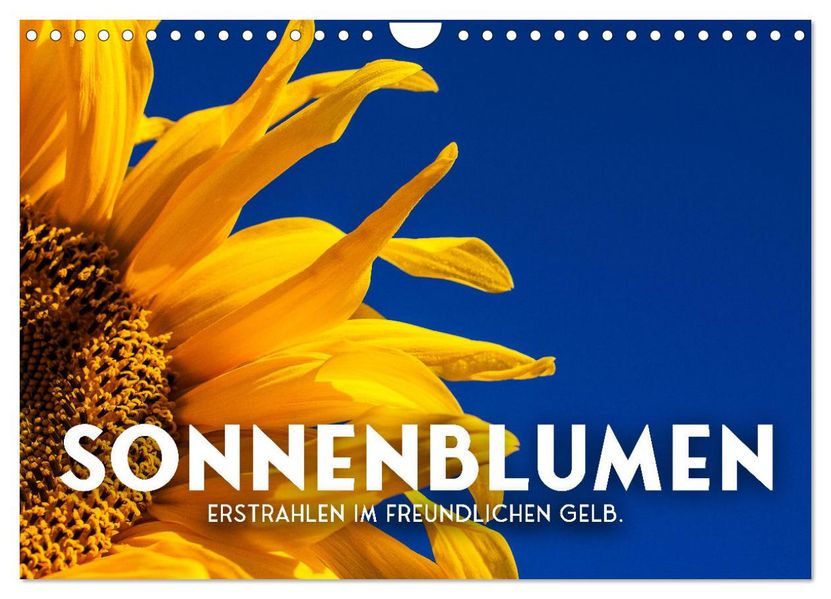 Sonnenblumen - Erstrahlen im freundlichen Gelb. (Wandkalender 2027 DIN A4 quer) CALVENDO Monatskalender