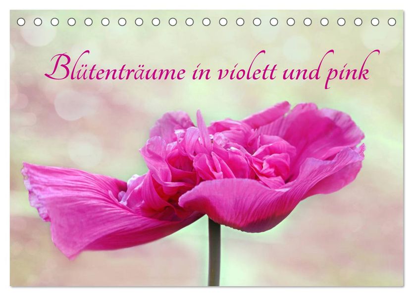 Blütenträume in violett und pink (Tischkalender 2027 DIN A5 quer) CALVENDO Monatskalender