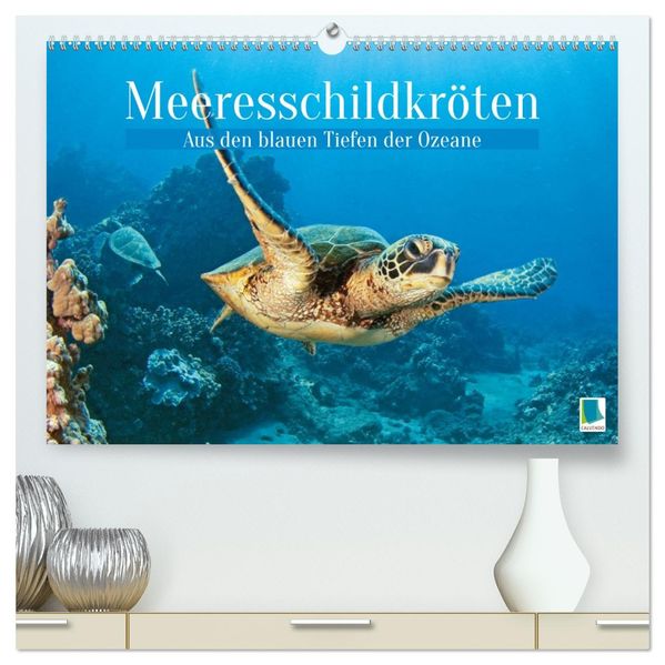 Meeresschildkröten: Aus den blauen Tiefen der Ozeane (hochwertiger Premium Wandkalender 2027 DIN A2 quer) Kunstdruck in Hochglanz