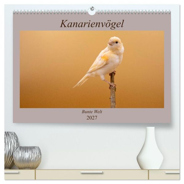 Kanarienvögel - Bunte Welt (hochwertiger Premium Wandkalender 2027 DIN A2 quer) Kunstdruck in Hochglanz