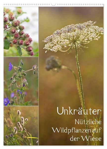 Unkräuter - Nützliche Wildpflanzen auf der Wiese (Wandkalender 2027 DIN A2 hoch) CALVENDO Monatskalender