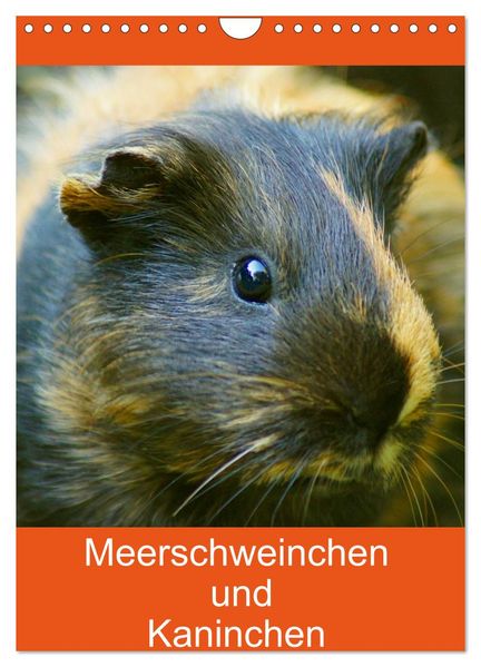 Meerschweinchen und Kaninchen Familienplaner (Wandkalender 2027 DIN A4 hoch) CALVENDO Monatskalender