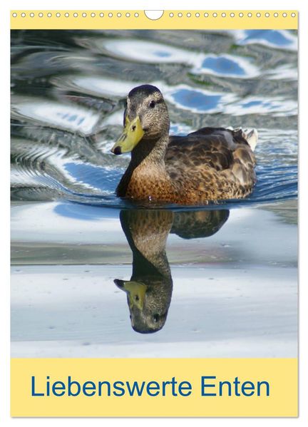 Liebenswerte Enten (Wandkalender 2027 DIN A3 hoch) CALVENDO Monatskalender