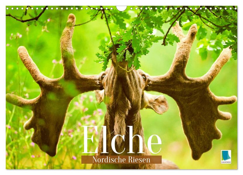 Elche: Nordische Riesen (Wandkalender 2027 DIN A3 quer) CALVENDO Monatskalender