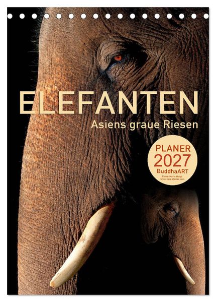 ELEFANTEN - Asiens graue Riesen (Tischkalender 2027 DIN A5 hoch) CALVENDO Monatskalender