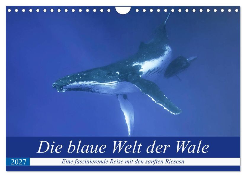 Die blaue Welt der Wale (Wandkalender 2027 DIN A4 quer) CALVENDO Monatskalender