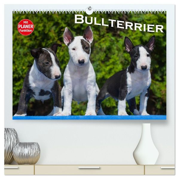 Bullterrier (hochwertiger Premium Wandkalender 2027 DIN A2 quer) Kunstdruck in Hochglanz