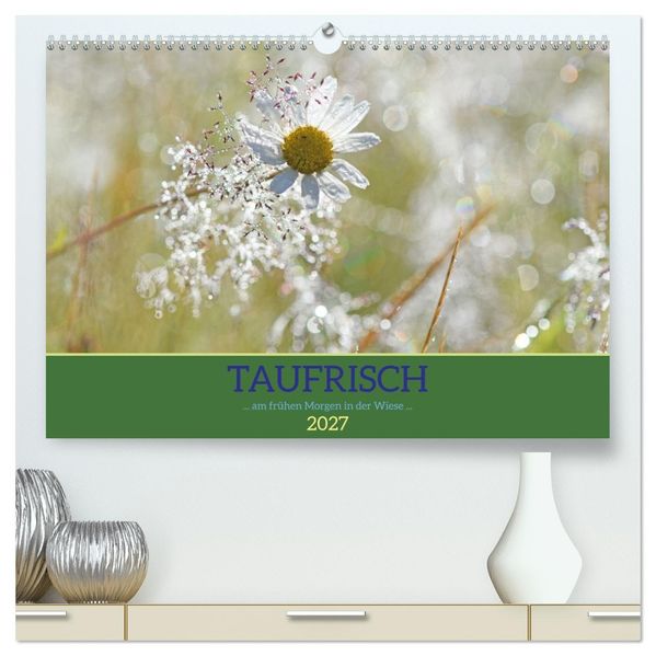 Taufrisch... am frühen Morgen in der Wiese (hochwertiger Premium Wandkalender 2027 DIN A2 quer) Kunstdruck in Hochglanz
