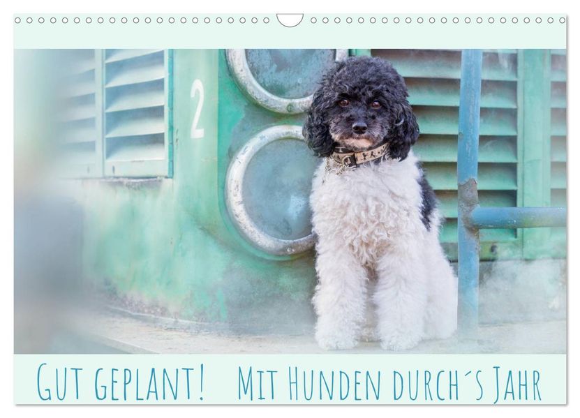 Gut geplant! Mit Hunden durchs Jahr (Wandkalender 2027 DIN A3 quer) CALVENDO Monatskalender