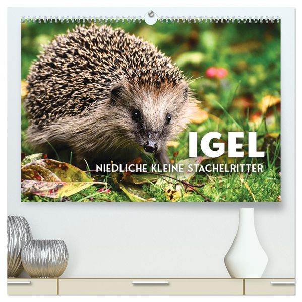 Igel - Niedliche kleine Stachelritter (hochwertiger Premium Wandkalender 2027 DIN A2 quer) Kunstdruck in Hochglanz