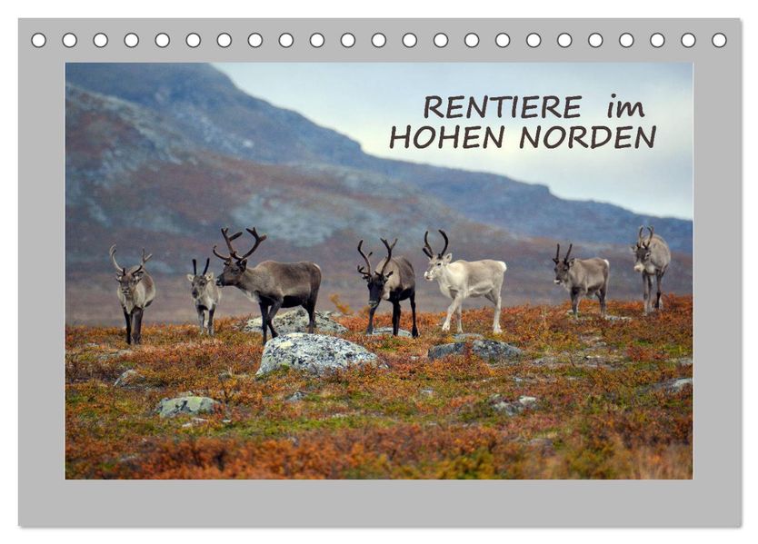 Rentiere im Hohen Norden (Tischkalender 2027 DIN A5 quer) CALVENDO Monatskalender
