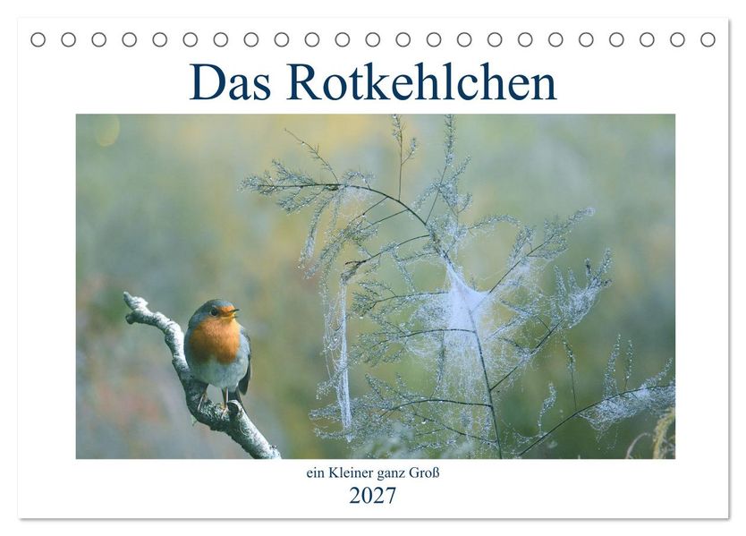 Das Rotkehlchen ein Kleiner ganz Groß (Tischkalender 2027 DIN A5 quer) CALVENDO Monatskalender