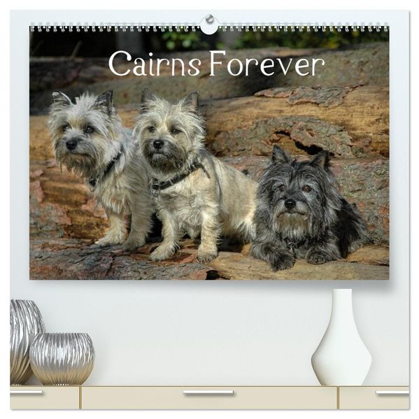 Cairns Forever (hochwertiger Premium Wandkalender 2027 DIN A2 quer) Kunstdruck in Hochglanz