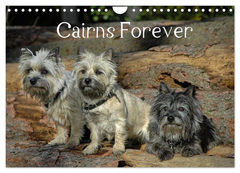 Cairns Forever (Wandkalender 2027 DIN A4 quer) CALVENDO Monatskalender