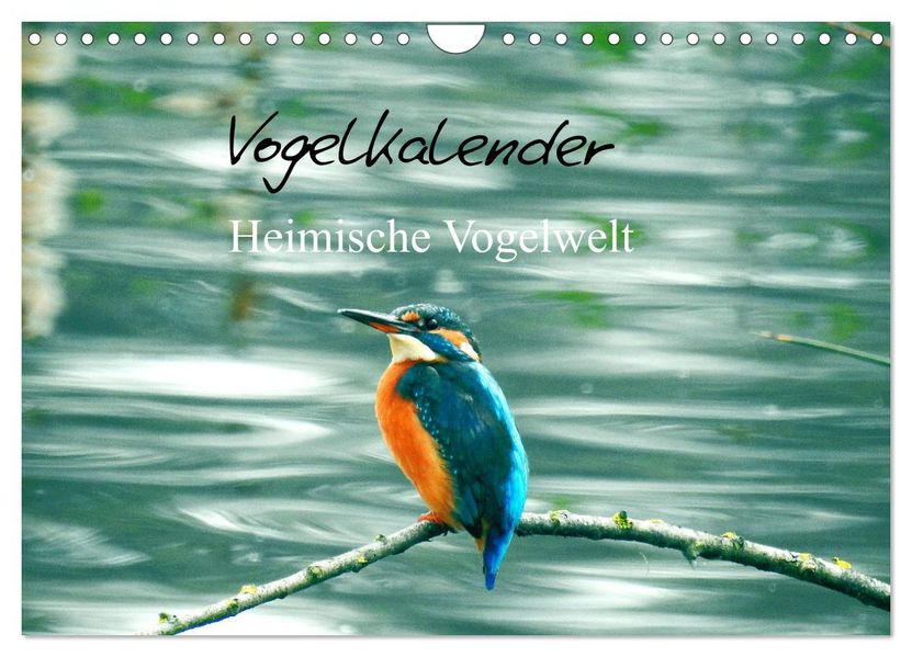 Vogelkalender (Wandkalender 2027 DIN A4 quer) CALVENDO Monatskalender