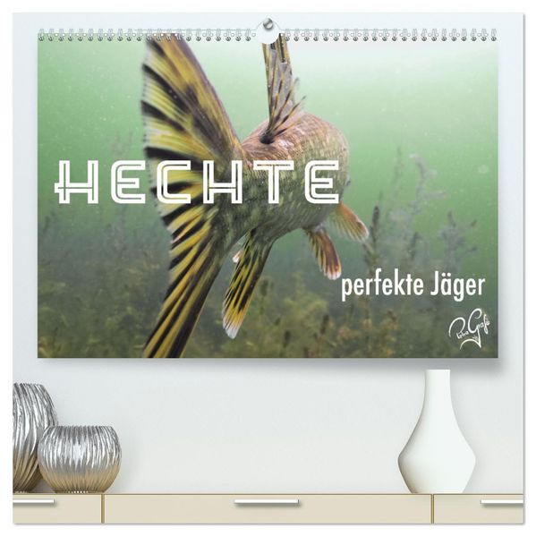 Hechte - perfekte Jäger (hochwertiger Premium Wandkalender 2027 DIN A2 quer) Kunstdruck in Hochglanz