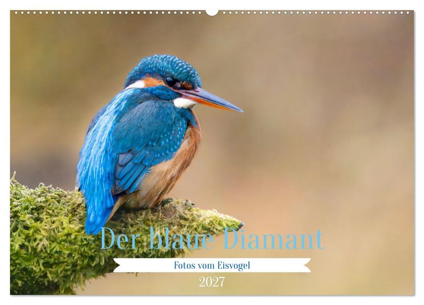 Der blaue Diamant - Fotos vom Eisvogel (Wandkalender 2027 DIN A2 quer) CALVENDO Monatskalender