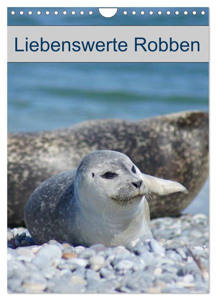 Liebenswerte Robben (Wandkalender 2027 DIN A4 hoch) CALVENDO Monatskalender