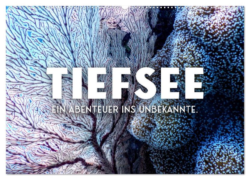 Tiefsee - Ein Abenteuer ins Unbekannte. (Wandkalender 2027 DIN A2 quer) CALVENDO Monatskalender