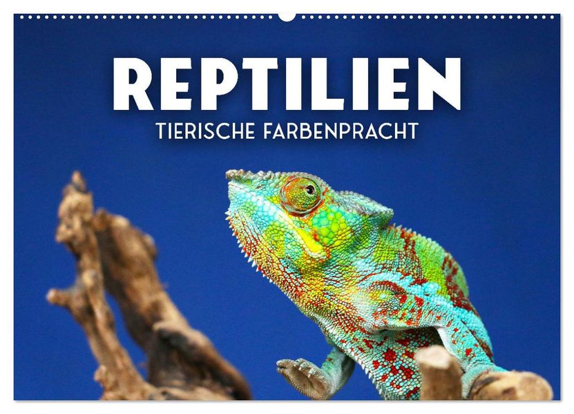 Reptilien - Tierische Farbenpracht (Wandkalender 2027 DIN A2 quer) CALVENDO Monatskalender