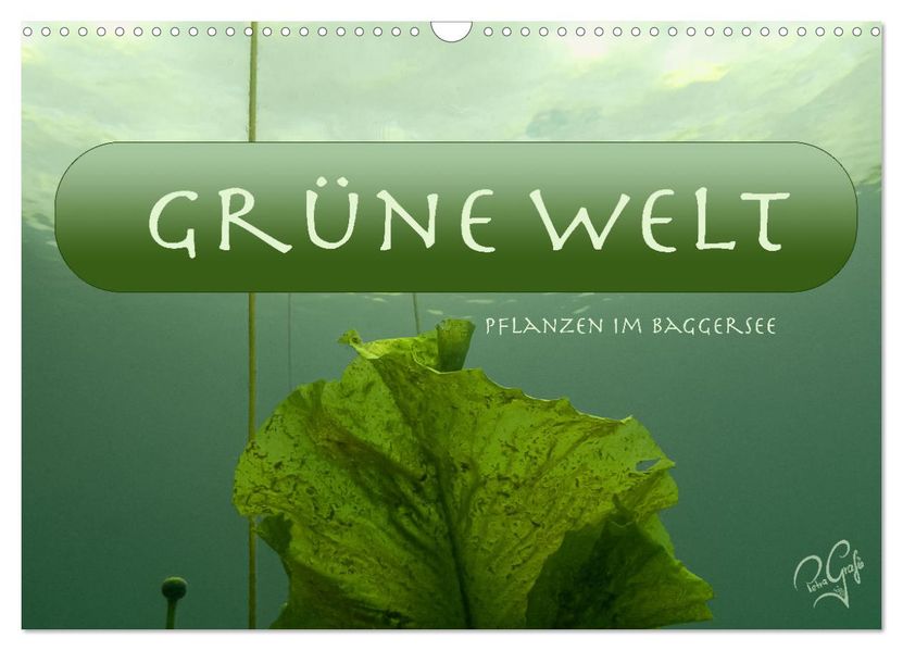 Baggersee - die grüne Welt (Wandkalender 2027 DIN A3 quer) CALVENDO Monatskalender