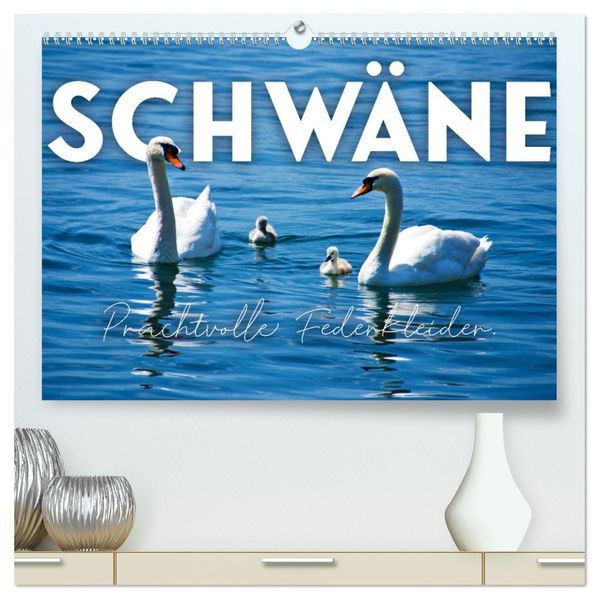 Schwäne - Prachtvolle Federkleider. (hochwertiger Premium Wandkalender 2027 DIN A2 quer) Kunstdruck in Hochglanz