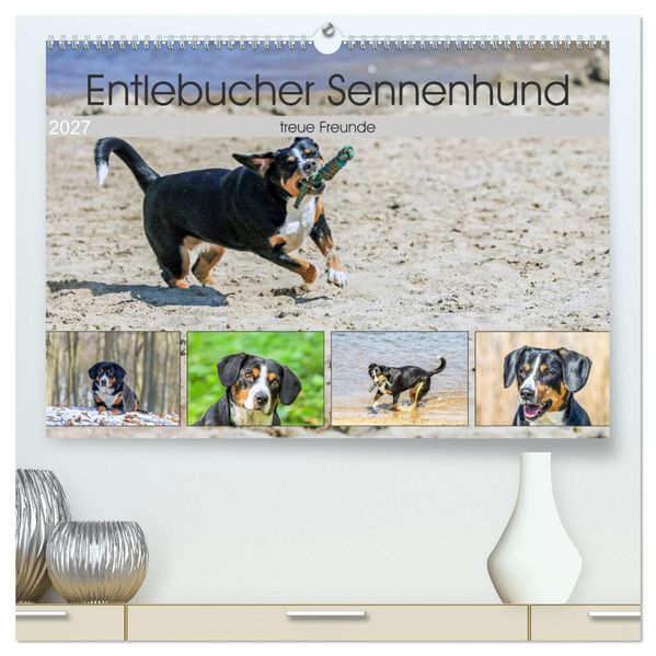 Entlebucher Sennenhund - treue Freunde (hochwertiger Premium Wandkalender 2027 DIN A2 quer) Kunstdruck in Hochglanz