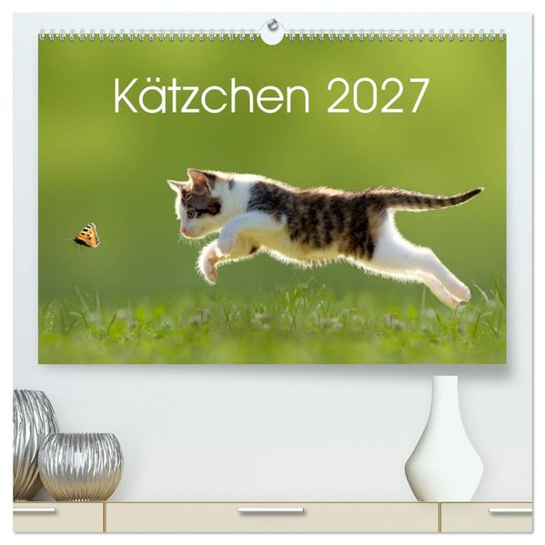 Kätzchen 2027 (hochwertiger Premium Wandkalender 2027 DIN A2 quer) Kunstdruck in Hochglanz