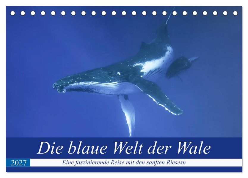 Die blaue Welt der Wale (Tischkalender 2027 DIN A5 quer) CALVENDO Monatskalender