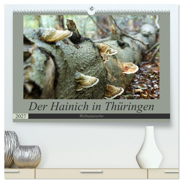 Der Hainich in Thüringen - Weltnaturerbe (hochwertiger Premium Wandkalender 2027 DIN A2 quer) Kunstdruck in Hochglanz