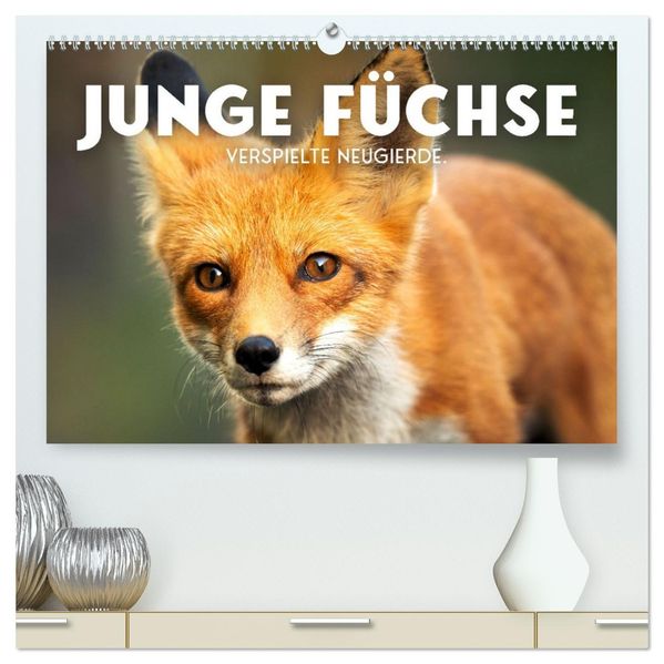 Junge Füchse - Verspielte Neugierde. (hochwertiger Premium Wandkalender 2027 DIN A2 quer) Kunstdruck in Hochglanz