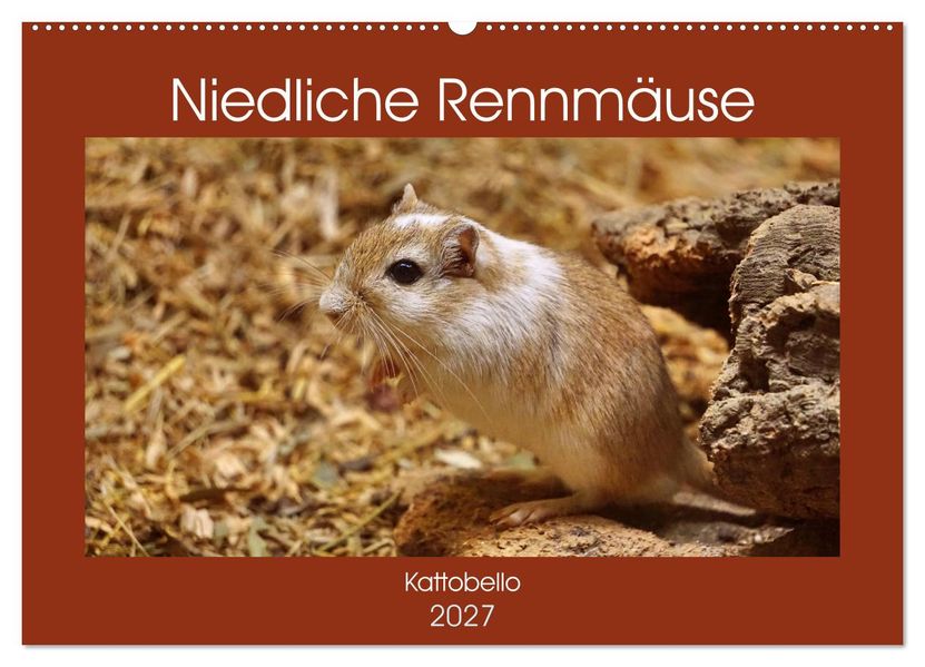 Niedliche Rennmäuse (Wandkalender 2027 DIN A2 quer) CALVENDO Monatskalender