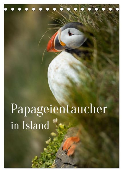 Papageientaucher in Island (Tischkalender 2027 DIN A5 hoch) CALVENDO Monatskalender