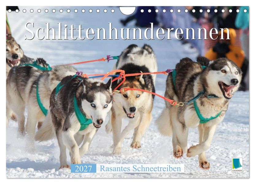 Schlittenhunderennen: Rasantes Schneetreiben (Wandkalender 2027 DIN A4 quer) CALVENDO Monatskalender