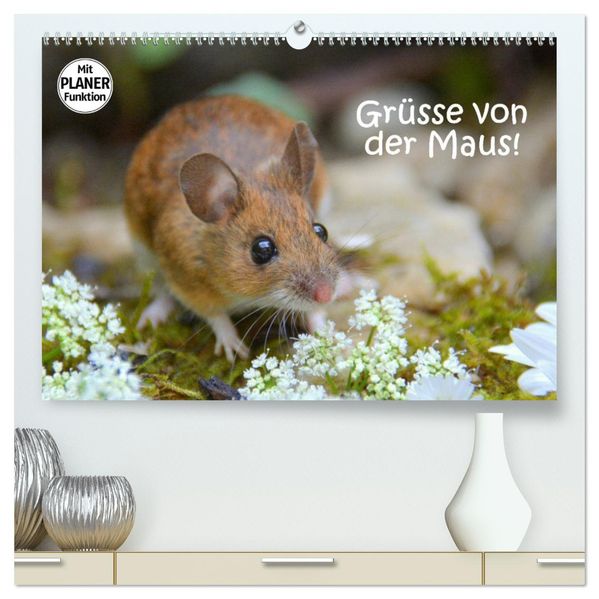 Grüsse von der Maus! (hochwertiger Premium Wandkalender 2027 DIN A2 quer) Kunstdruck in Hochglanz