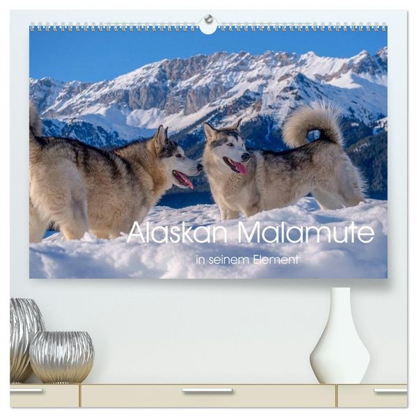 Alaskan Malamute in seinem Element (hochwertiger Premium Wandkalender 2027 DIN A2 quer) Kunstdruck in Hochglanz