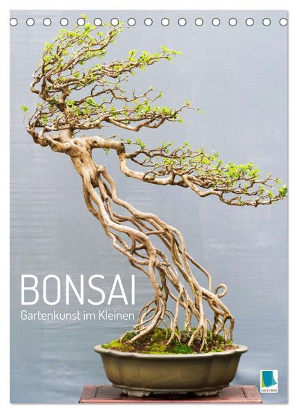 Bonsai: Gartenkunst im Kleinen (Tischkalender 2027 DIN A5 hoch) CALVENDO Monatskalender