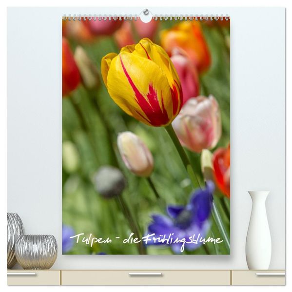 Tulpen - die Frühlingsblume (hochwertiger Premium Wandkalender 2027 DIN A2 hoch) Kunstdruck in Hochglanz