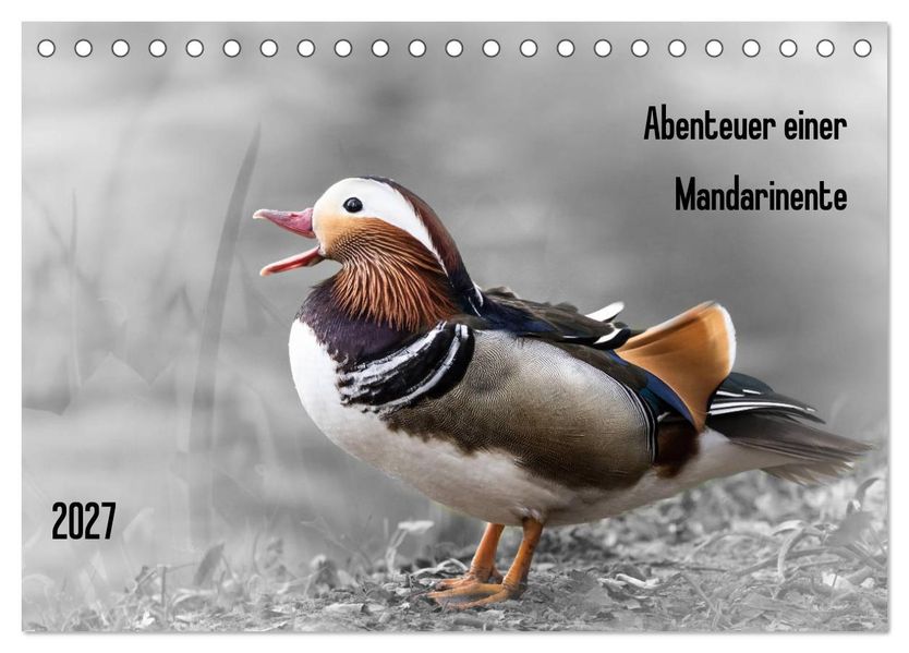 Abenteuer einer Mandarinente (Tischkalender 2027 DIN A5 quer) CALVENDO Monatskalender