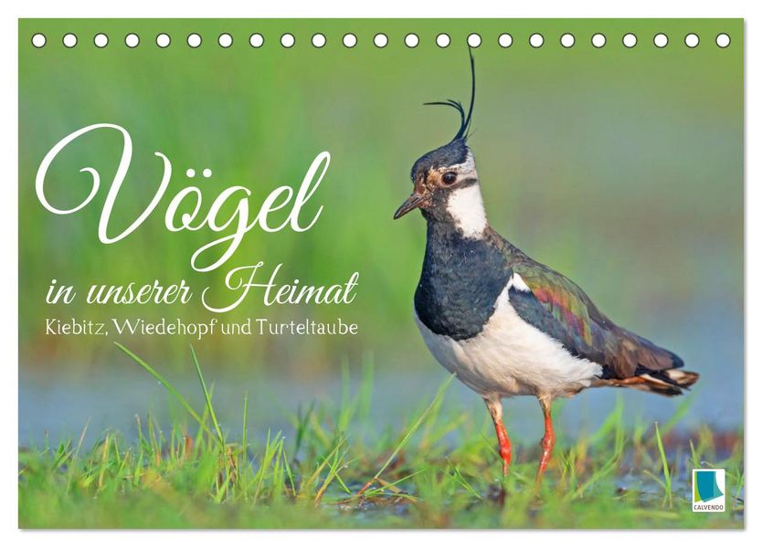 Vögel in unserer Heimat: Kiebitz Wiedehopf und Turteltaube (Tischkalender 2027 DIN A5 quer) CALVENDO Monatskalender
