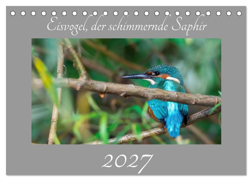 Eisvogel der schimmernde Saphir (Tischkalender 2027 DIN A5 quer) CALVENDO Monatskalender