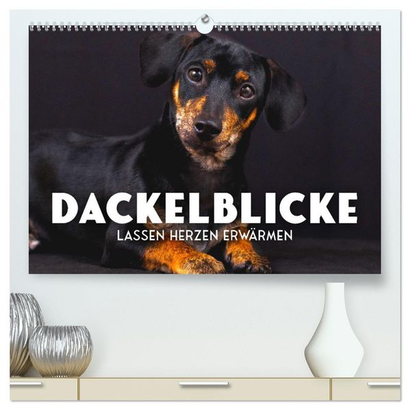Dackelblicke - Lassen Herzen erwärmen. (hochwertiger Premium Wandkalender 2027 DIN A2 quer) Kunstdruck in Hochglanz