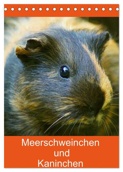 Meerschweinchen und Kaninchen Familienplaner (Tischkalender 2027 DIN A5 hoch) CALVENDO Monatskalender