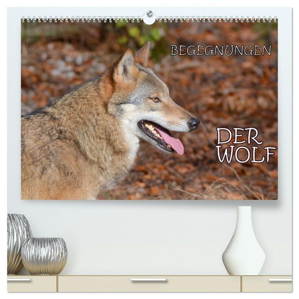 Begegnungen DER WOLF (hochwertiger Premium Wandkalender 2027 DIN A2 quer) Kunstdruck in Hochglanz