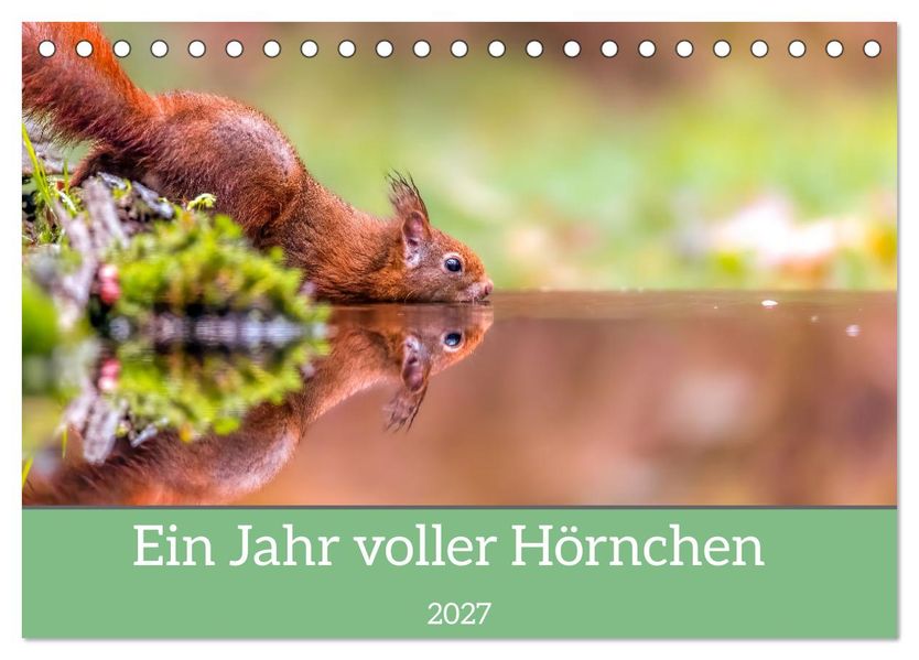 Ein Jahr voller Hörnchen (Tischkalender 2027 DIN A5 quer) CALVENDO Monatskalender