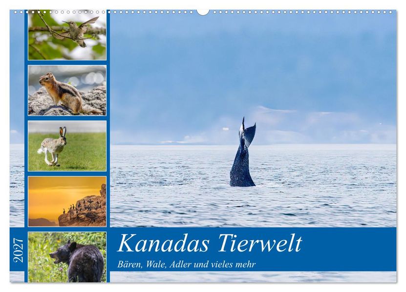 Kanadas Tierwelt - Bären Wale und vieles mehr (Wandkalender 2027 DIN A2 quer) CALVENDO Monatskalender