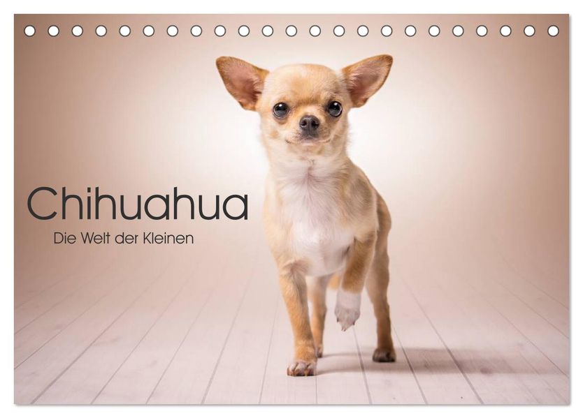 Chihuahua - Die Welt der Kleinen (Tischkalender 2027 DIN A5 quer) CALVENDO Monatskalender